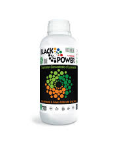 Black Energy 5 Ltr