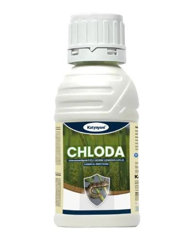 Chlodo 100ml