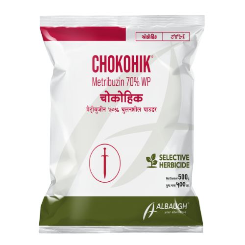 Chokohik 500 Gm