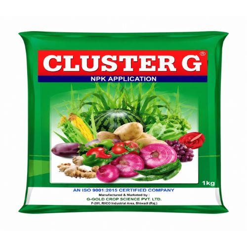 Cluster G 55 G - 5 Kg