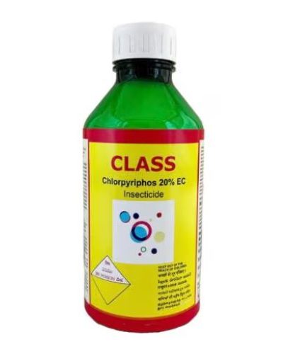 First Class 100 Ml