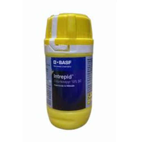 Intrepid 100ml