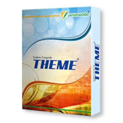 Theme 1 Kg