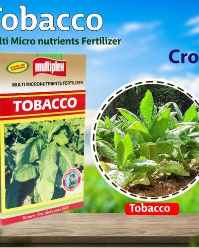 Tobacco Special 500 Gm
