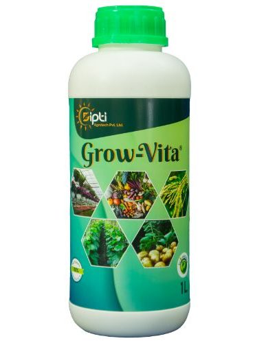 Vita K10 1lit