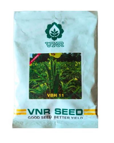 Vnr Hyb.Bhindi Vbh  11 250gm