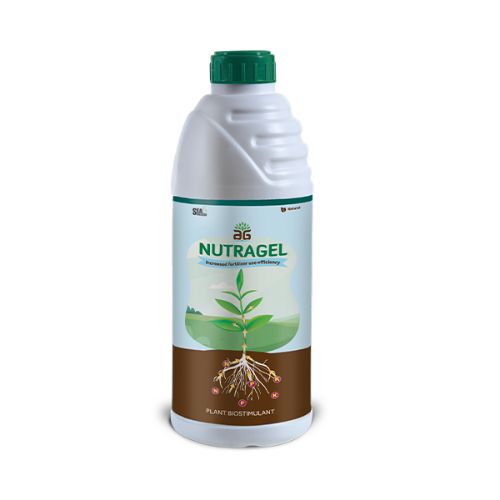 FG NUTRAGEL -500GM